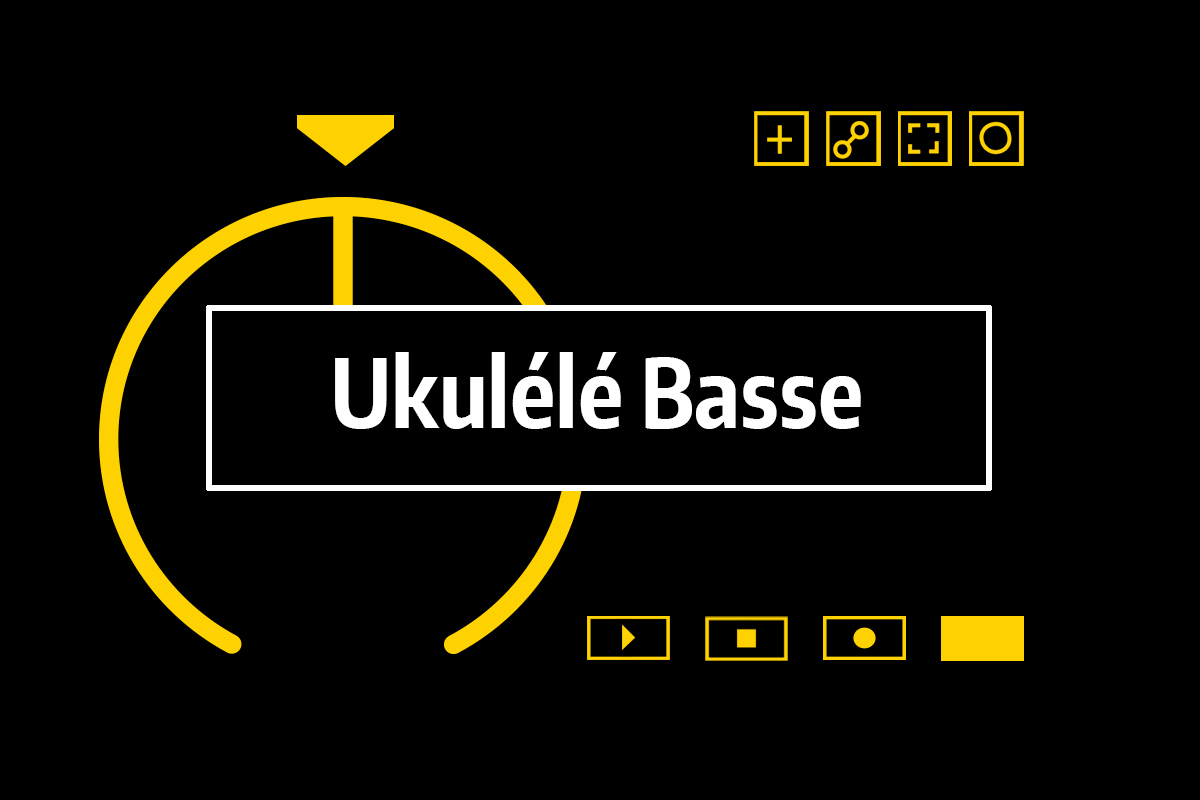 Ukulélé basse