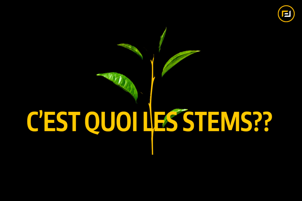 Miniature vidéo : Explication du concept des stems en production musicale.