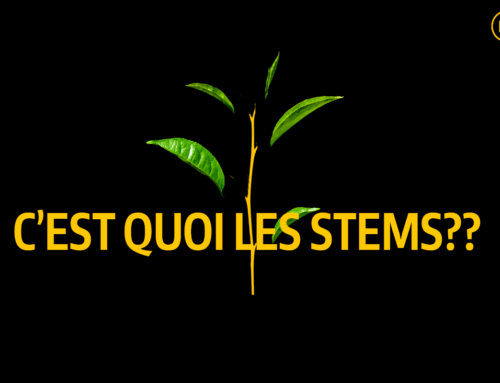C’est quoi les stems?